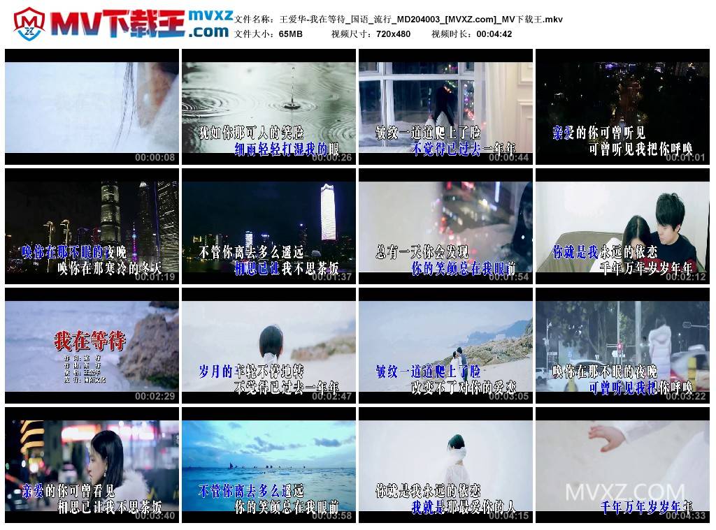 王爱华-我在等待_国语_流行_MD204003